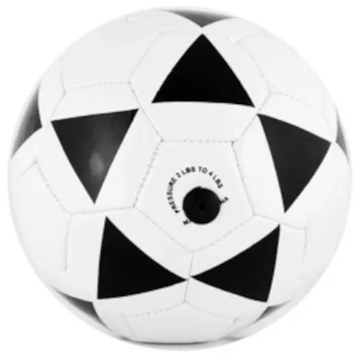 Mini Kick Size 2 Soccer Ball - Inflated Back